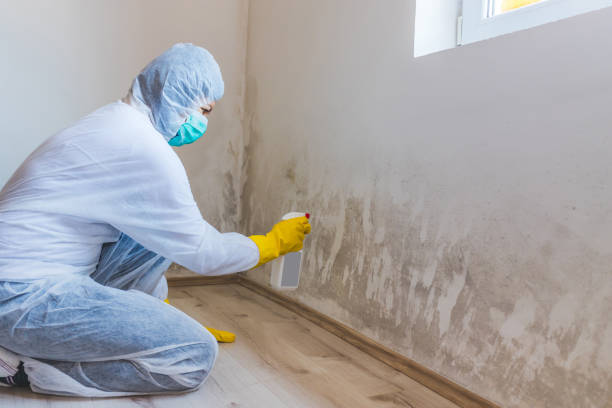 Forensic Mold Investigation in Flower Mound, TX