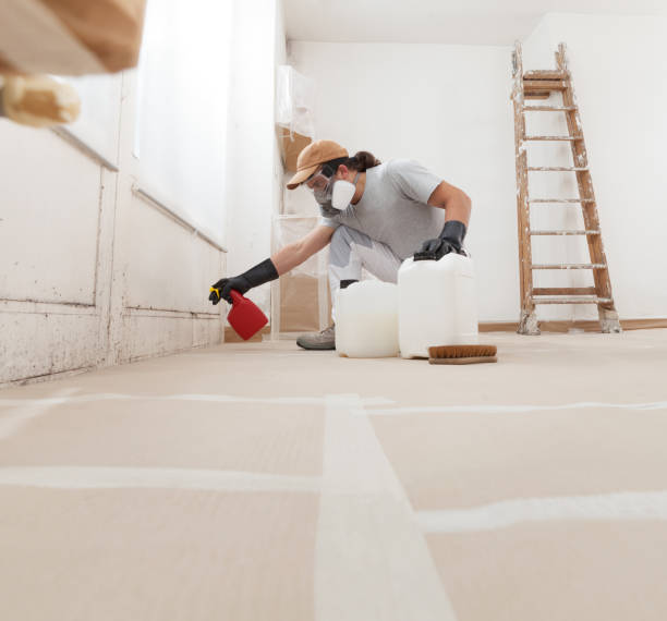 Flower Mound, TX Mold Removal Company